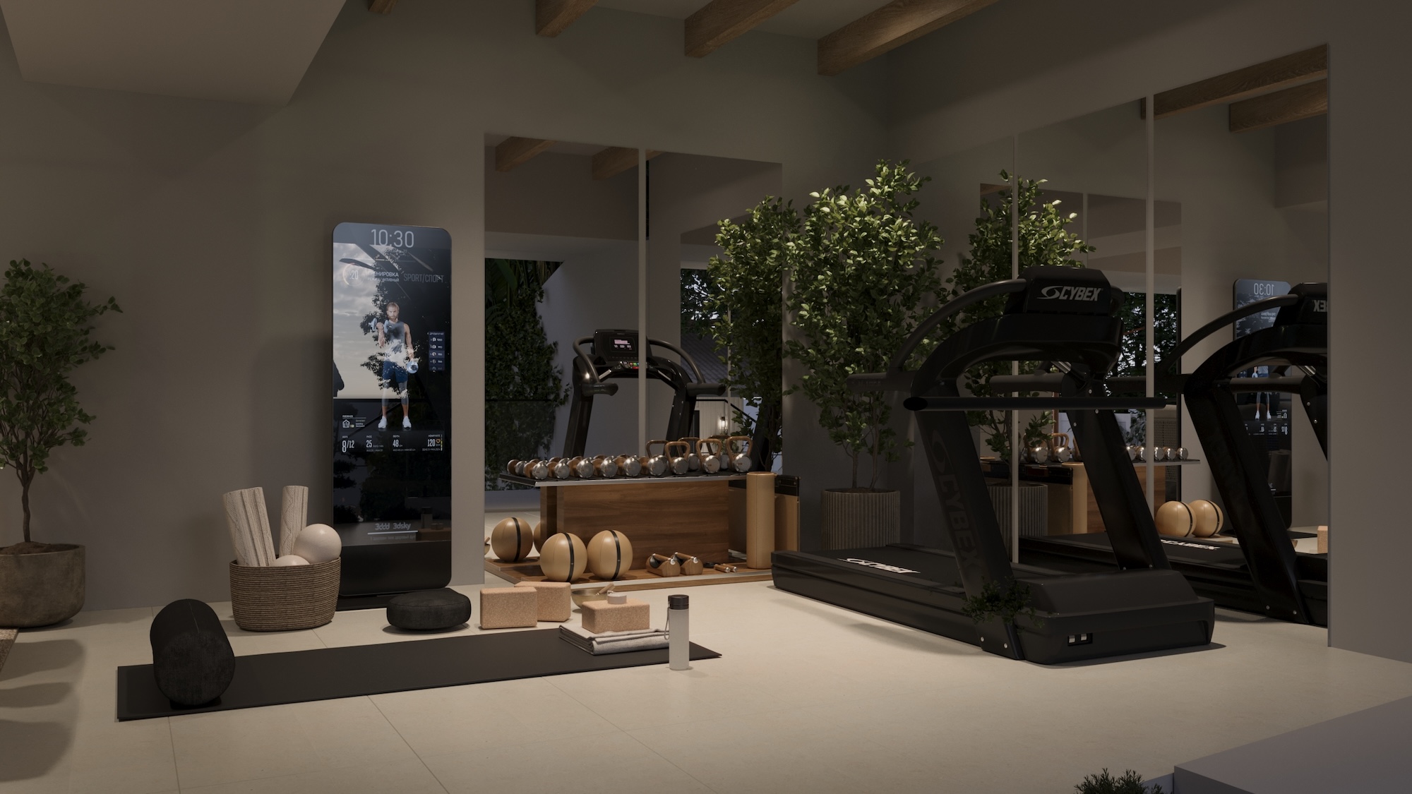 Home Gym Design Beverly Hills